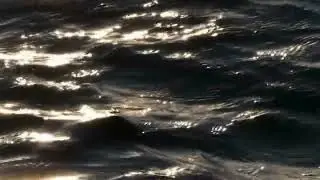 Water Ripples Lo-Fi 🌊 Calm Beats for Deep Focus, Relaxation & Study