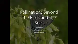 Beyond Bees: Pollination Strategies of Plants & Insects &ndash; NV talk by Tiia Haapalainen on May 20 2021