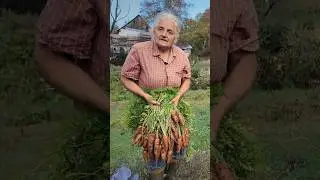 70-Year-Old Farms Like It&rsquo;s The 1800&rsquo;s