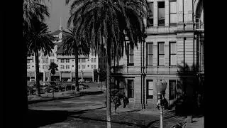 Sunny City Plaza with Palm Trees & Historical Architecture (1940s-50s Vintage Stock Footage)
