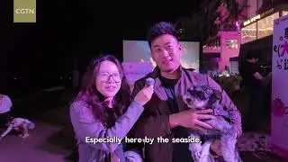 Open-air beachside screenings win over audiences at film festival