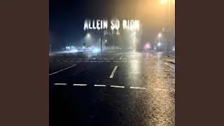 ALLEiN SO RiCH