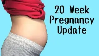 20 Week Pregnancy Update with Bump Shot