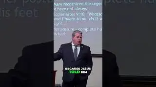 Mary's Urgent Act: Understanding Jesus' Impact