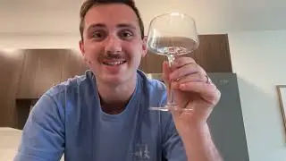 Honest Review - What to Know Before Buying Martini Glasses