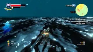 The Witcher 3 Wild Hunt Find The Underwater Treasure Not Only Eagles Dare
