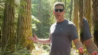 Hiking Nymph Falls Park Trail