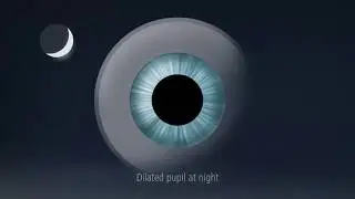 Here's how our i.Profiler helps you improve your night vision