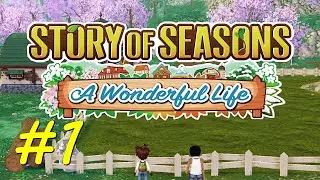 WELCOME TO FORGOTTEN VALLEY!   STORY OF SEASONS: A WONDERFUL LIFE #1