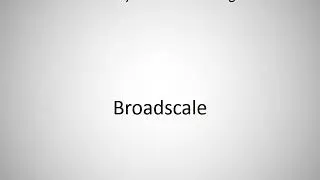 How to say Broadscale in English?