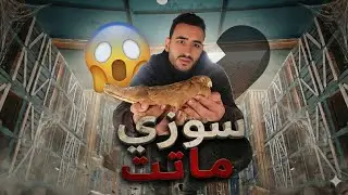 سوزي ماتت 💔 فجأة وصدمتني (يوم صعب)