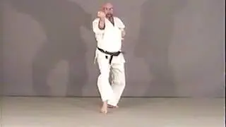 Stockey - Teisho Shodan