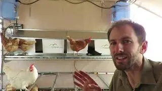ПЕРВЫЙ В МИРЕ Автоматический настенный гнездовой ящик