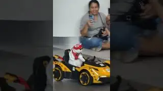 Cat Drives Electric Ferrari at Pet Expo &ndash; The Most Adorable Viral Moment You&rsquo;ll See Today! 🚗🐱 #Vir