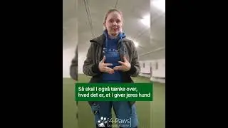 Hvor mange godbidder m&aring; en hund f&aring; p&aring; en dag?
