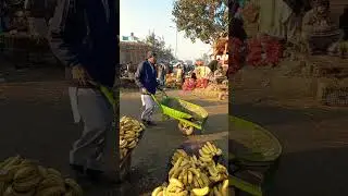 sabzi mindi isl6 #pvo #viralvideo #youtube #plz