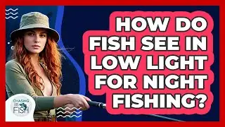 How Do Fish See In Low Light For Night Fishing? - Chasing Big Fish