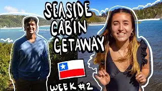 Week 2 in Chile | Sea Side Cabin Getaway | Cabin Tour, Puppies, and Friends