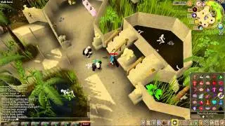 Runescape Guide: How to kill Ape Atoll Monkey Guards w/ Dharok's and Full Void