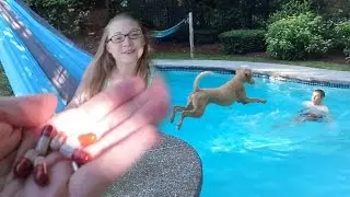 POODLE POUNCE POOL PARTY (6.24.15)