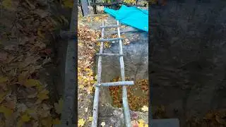 DIY Bushcraft ladder in the Woods Survival skills: