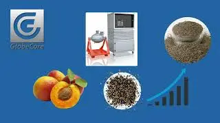 #Grinding #apricot #pits (pit #shells). #Obtaining #micro #powder, #lungin from apricot shells