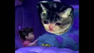 sad cat time