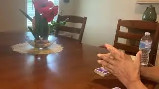 Scorpio Divine Timing At Play (Timeless Reading)