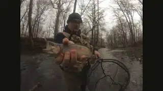 Opening Day Trout season 2019 NJ