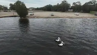Fotokite Bluebottle 1