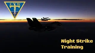 Sunglasses at Night - F14 Night Strike Training