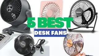 5 Best Desk Fans for Home & Office | Quiet, Portable & Powerful Options