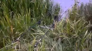 Fishing the Old River. Part 5 - August 2012