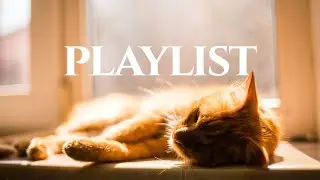 [playlist] Cozy Indie Pop Playlist