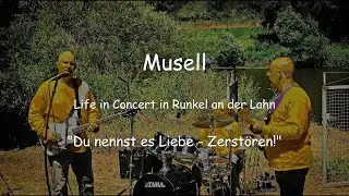 MUSELL - Du nennst es Liebe - Zerst&ouml;ren