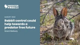 PFNZ Trust Webinar # 28: Rabbit control could help us towards a predator free future