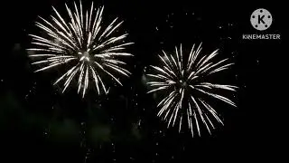 Feu d'artifice du 14 juillet 2025- Savenay (44)