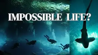 This Creature Lives Where Life Should Be Impossible | Deep Ocean Documentary #nature #naturelovers