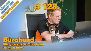 TGH 128 - Hund ans Büro gewöhnen - Bürohund - Hundeschule Stadtfelle