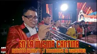En La Misma Cantina / Con Mentiras No - Marimba Orquesta Sonoramica de Guatemala 2023