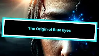 The Origin of Blue Eyes