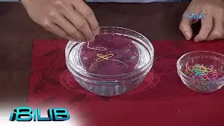 iBilib: Floating heart-shaped paper clip experiment! (Prove It to Bilib It)
