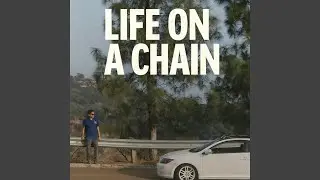 Life on a chain