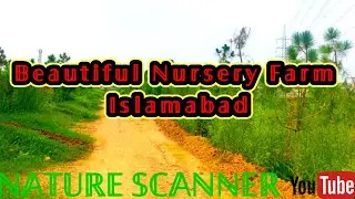 Nursery Farm|PWD pakistan|Islamabad|Pakistan tourism videos|Best Place|Love Nature|Travelling|