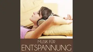 Reise ins Herz
