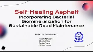 Self-Healing Asphalt - Incorporating Bacterial Biomineralization for Sustainable Road Maintenance