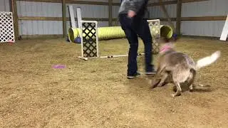 Villyn pushes