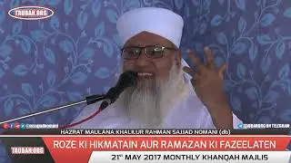 Insan Allah Ka Khalifa Hain Kya Matlab? Maulana Sajjad nomani Bayan