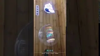 3d hologram led fan - MCloud Hologram