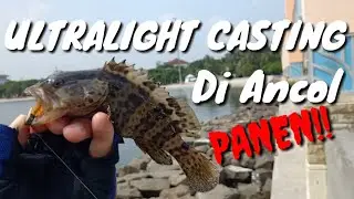 Mancing Di Ancol dapet kerapu banyak banget!